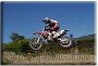 008 - Andrea Tedesco - MX1 OVER